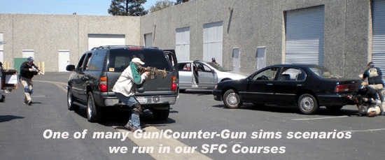 Gun, Counter-Gun Sims training