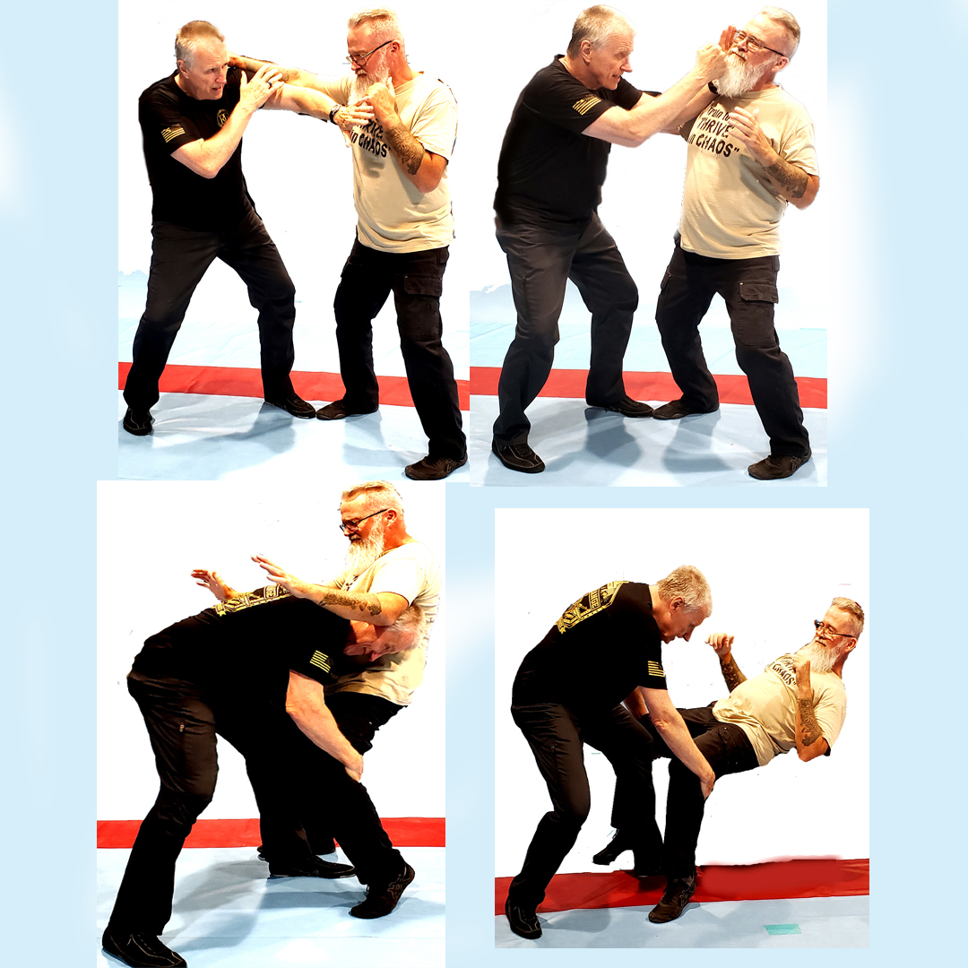 combatives-takedowns-hock-survival-centric