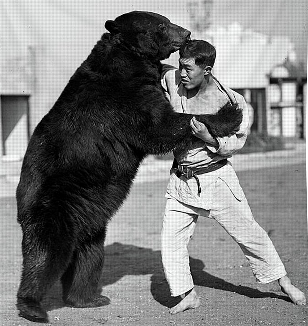 man-versus-bear-wrestling-hock-survival-centric